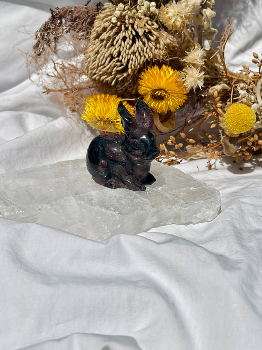 Garnet Astrophyllite Bunny #1