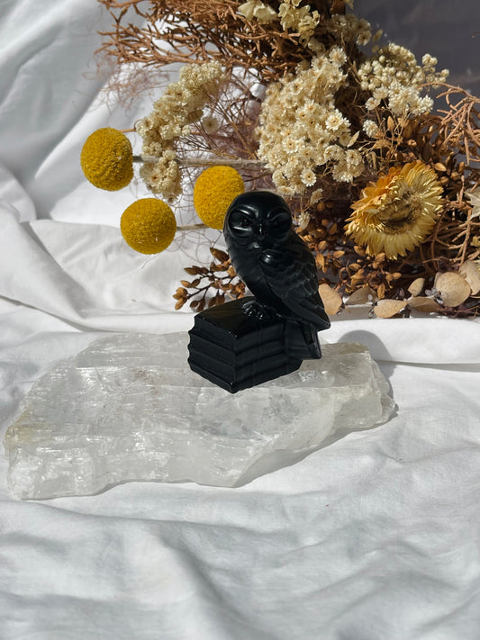 Black Obsidian Owl #1