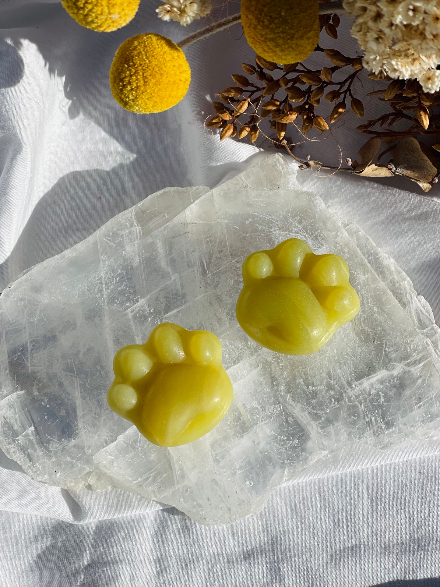 Lemon Jade Paw