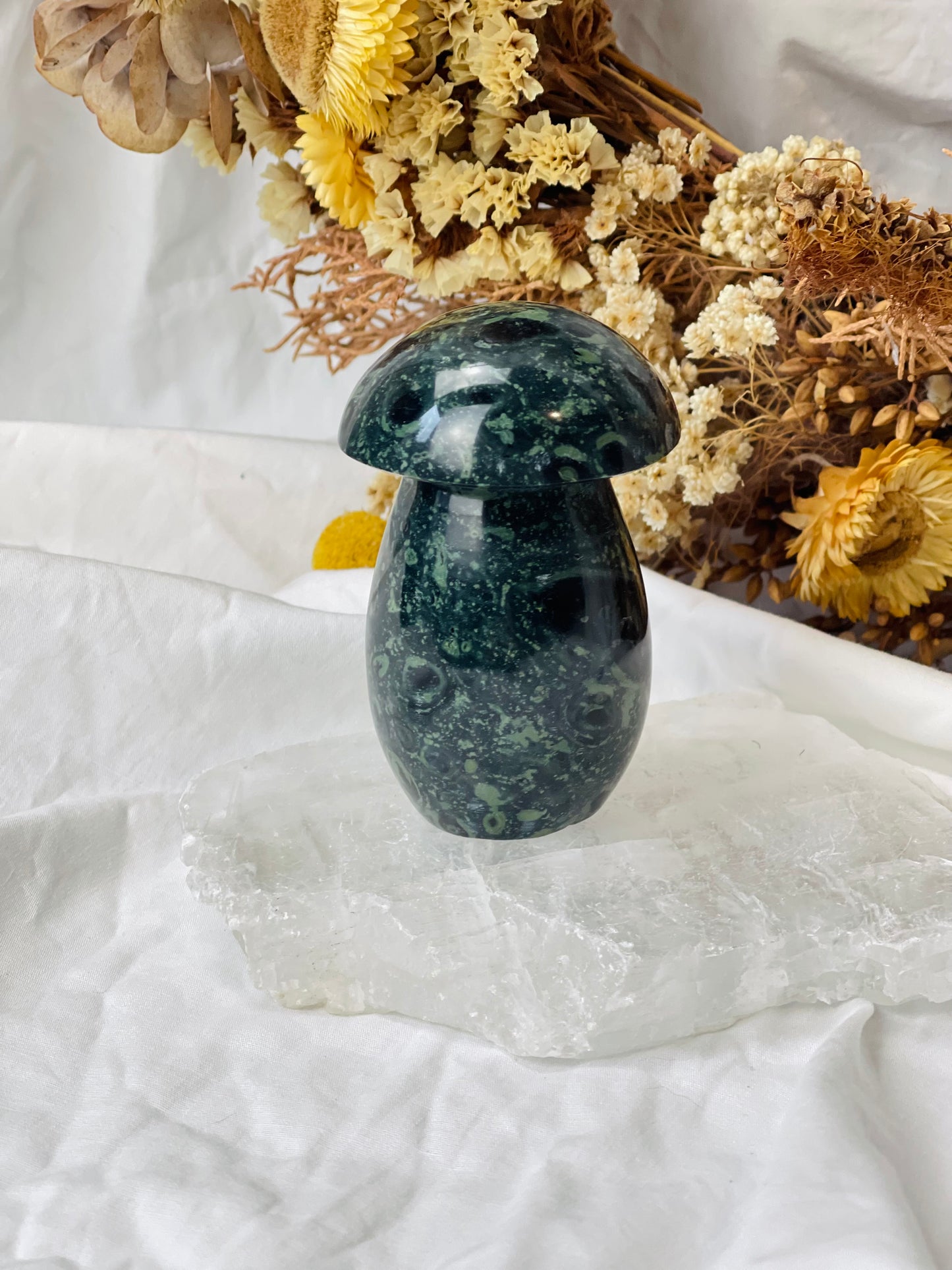 Kambaba Jasper Mushroom