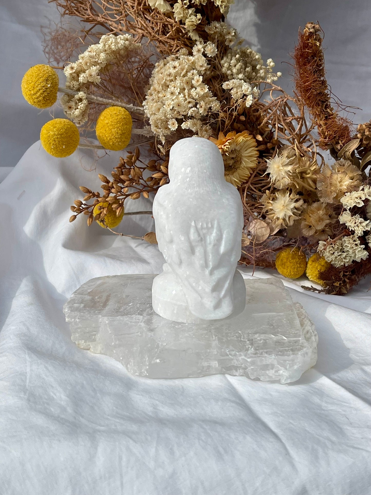 White Jade Parrot