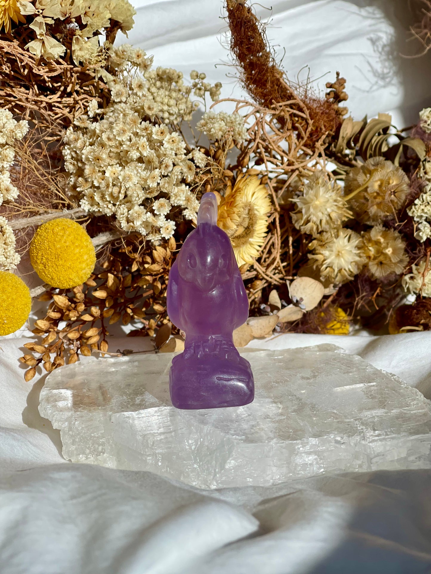 Purple Fluorite Parrott