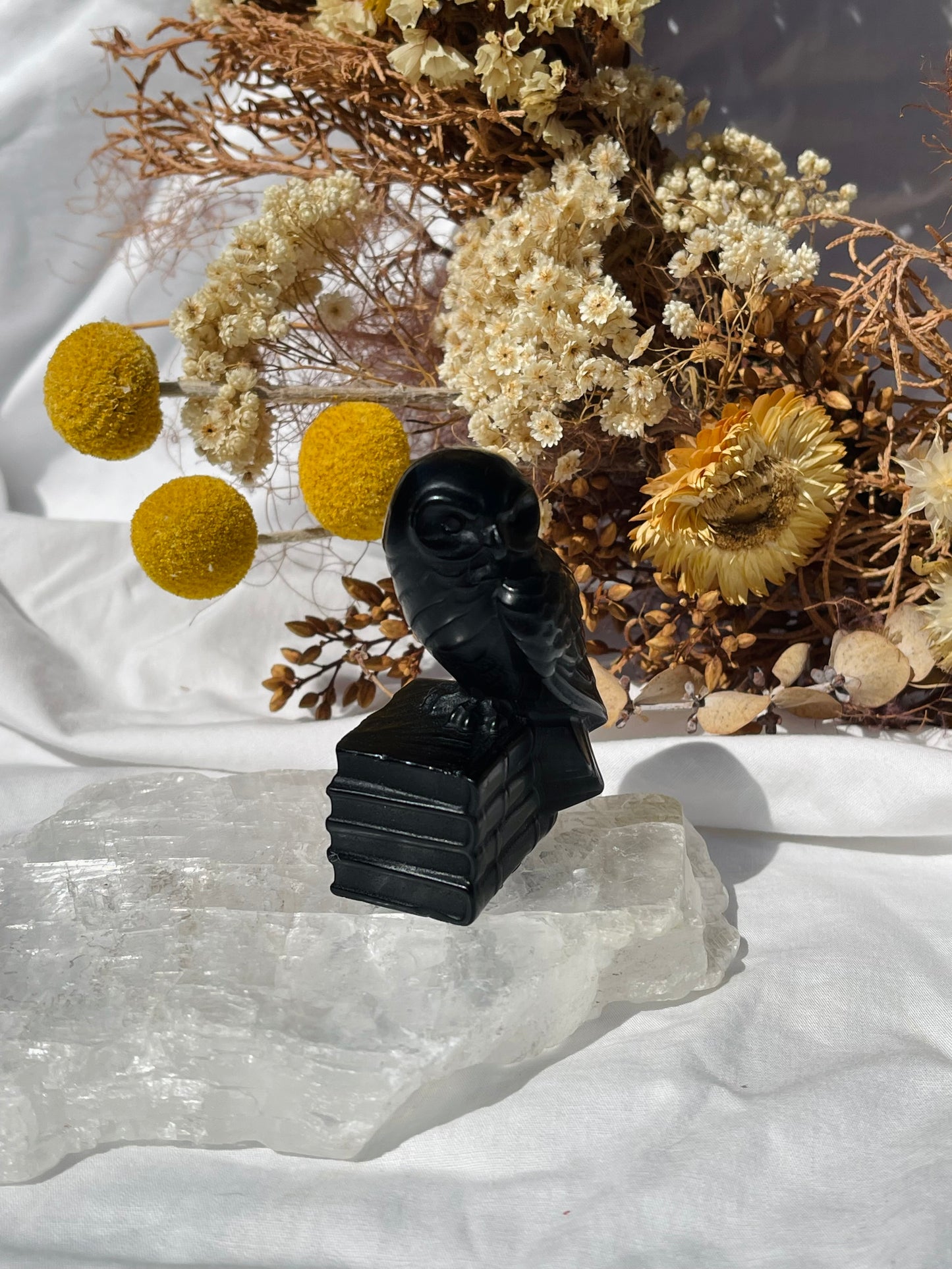 Black Obsidian Owl #2