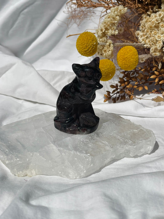 Garnet Astrophyllite Cat #2