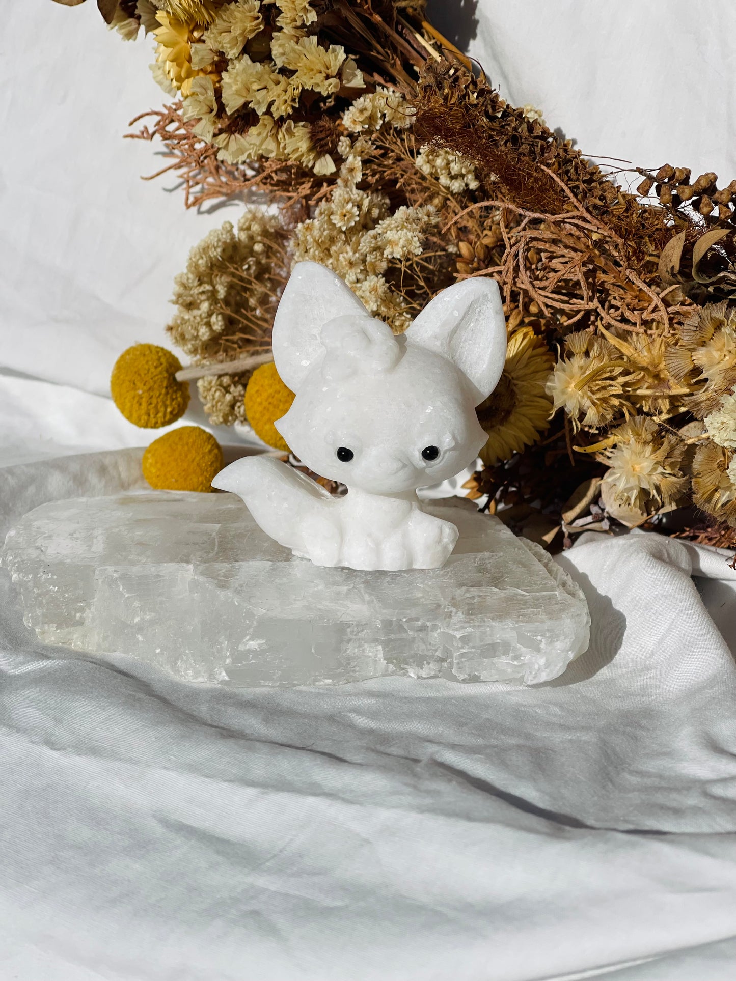 White Jade baby Fox