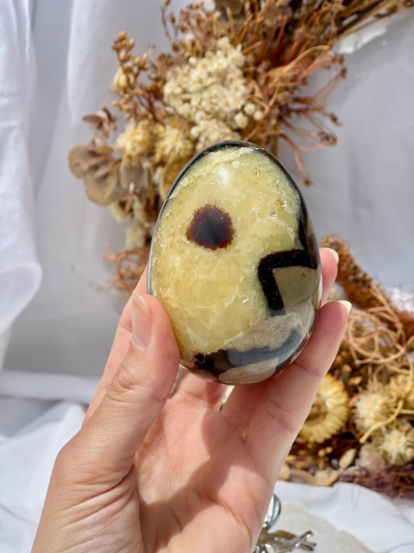 Septarian Dragon Stone Egg #3