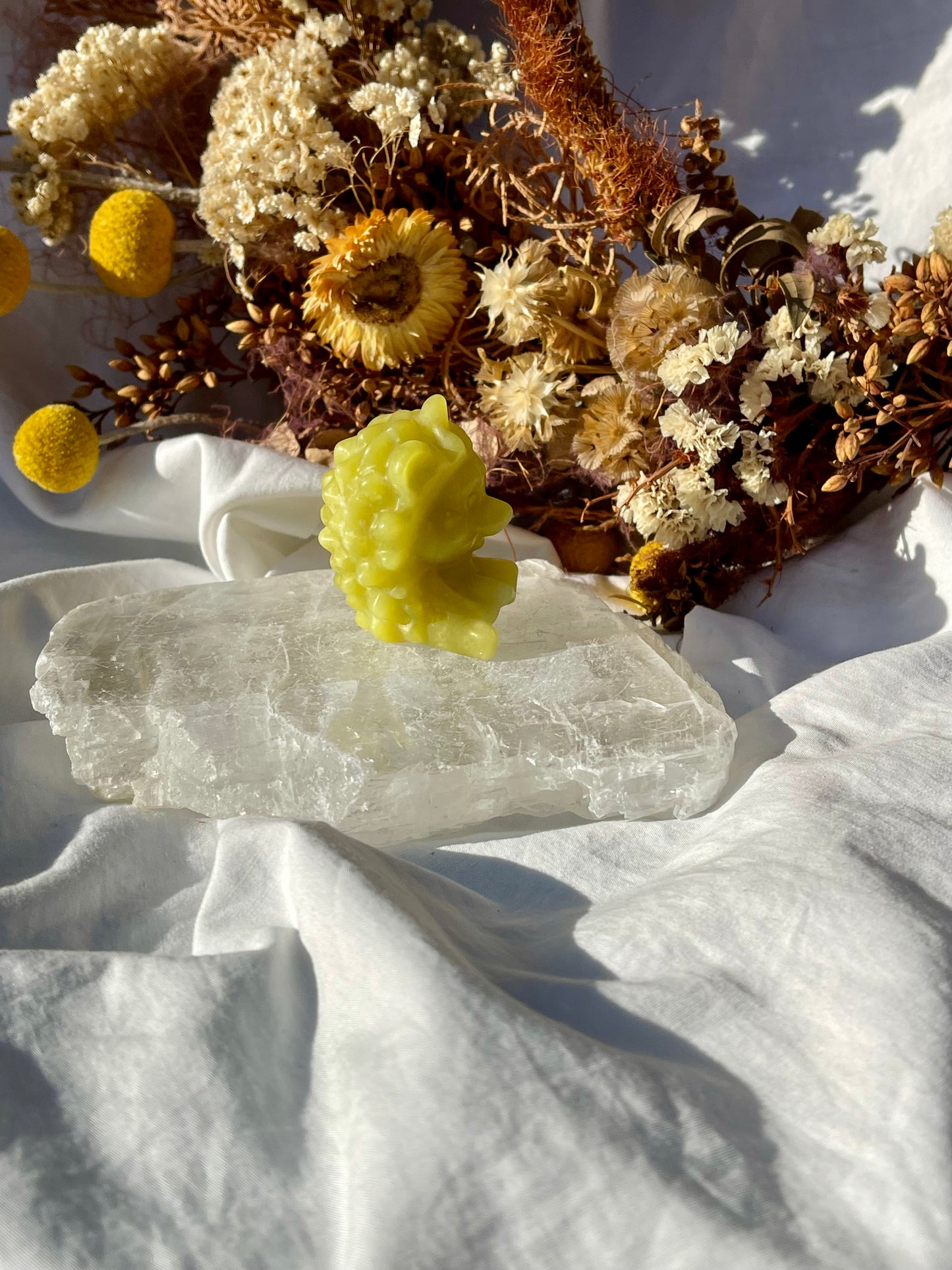 Lemon Jade Hedgehog