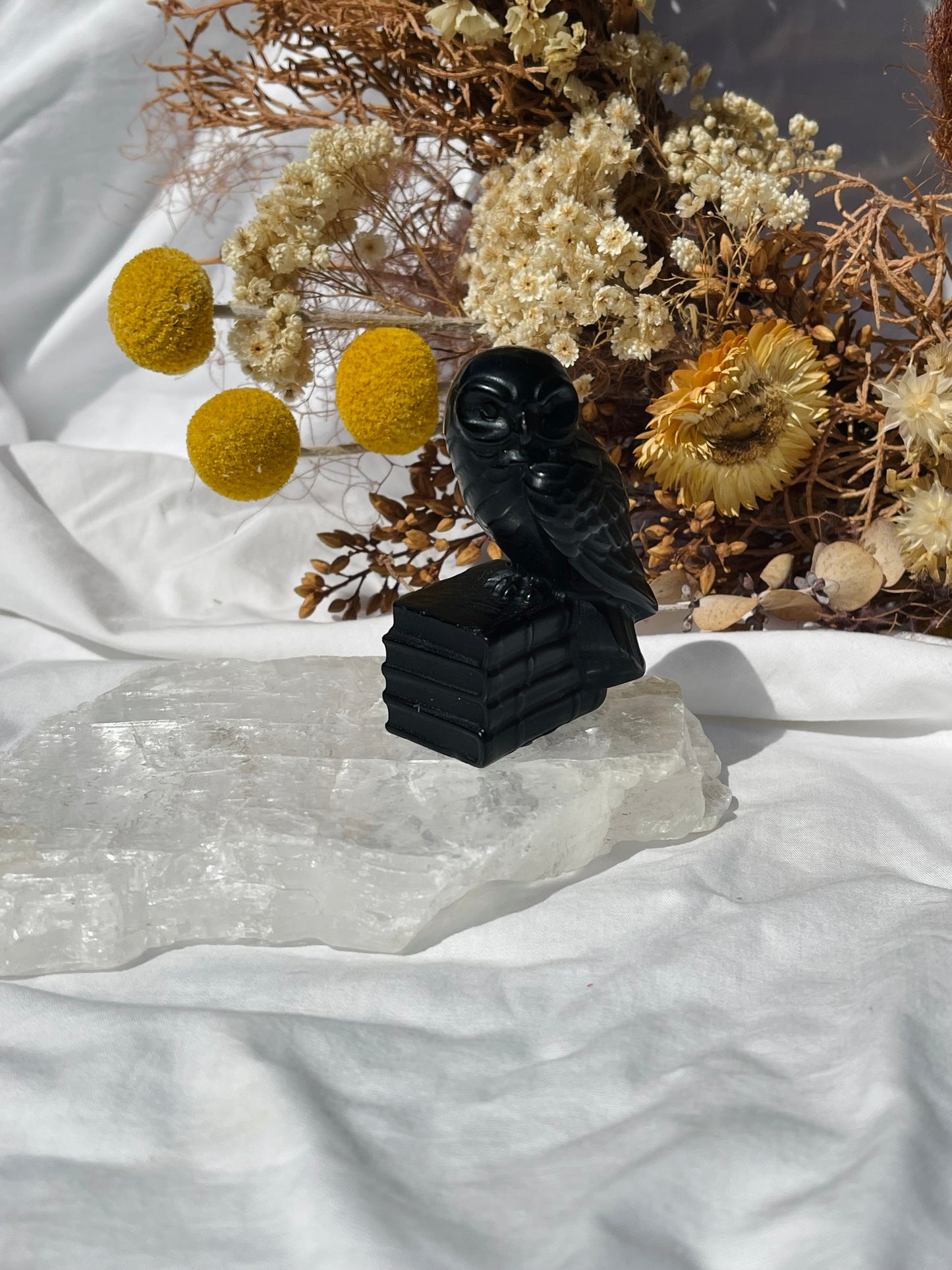 Black Obsidian Owl #1