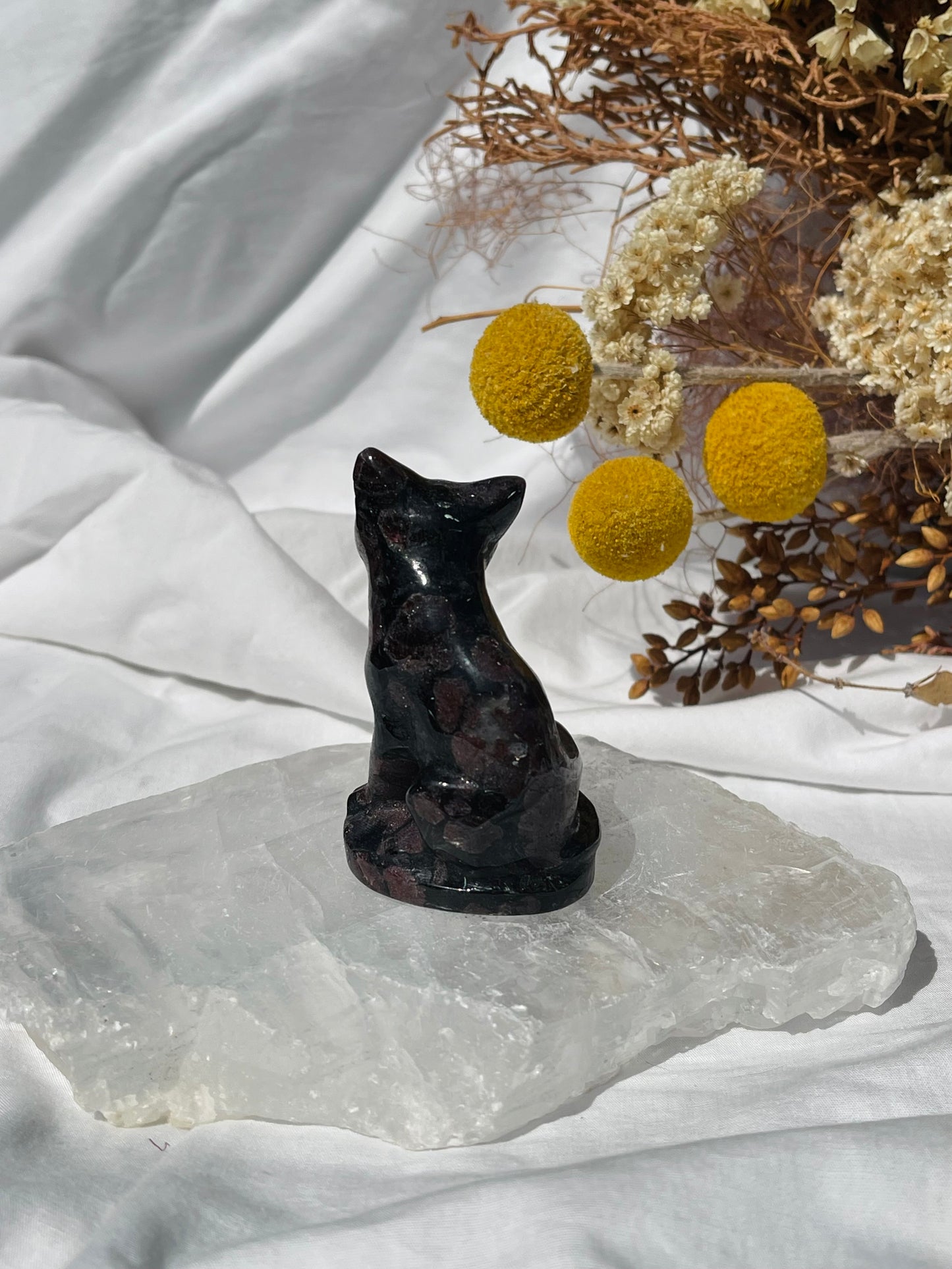 Garnet Astrophyllite Cat #1
