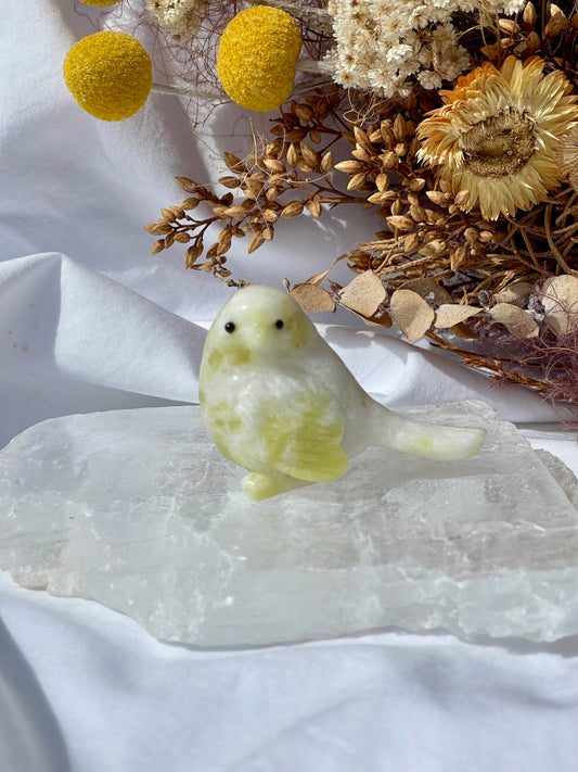 Lemon Jade Bird 1