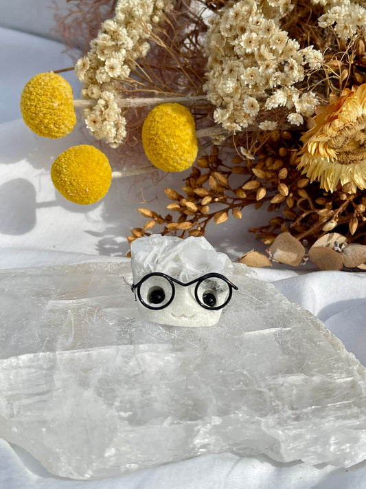 Angel Wing Calcite Critter With Glasses #1