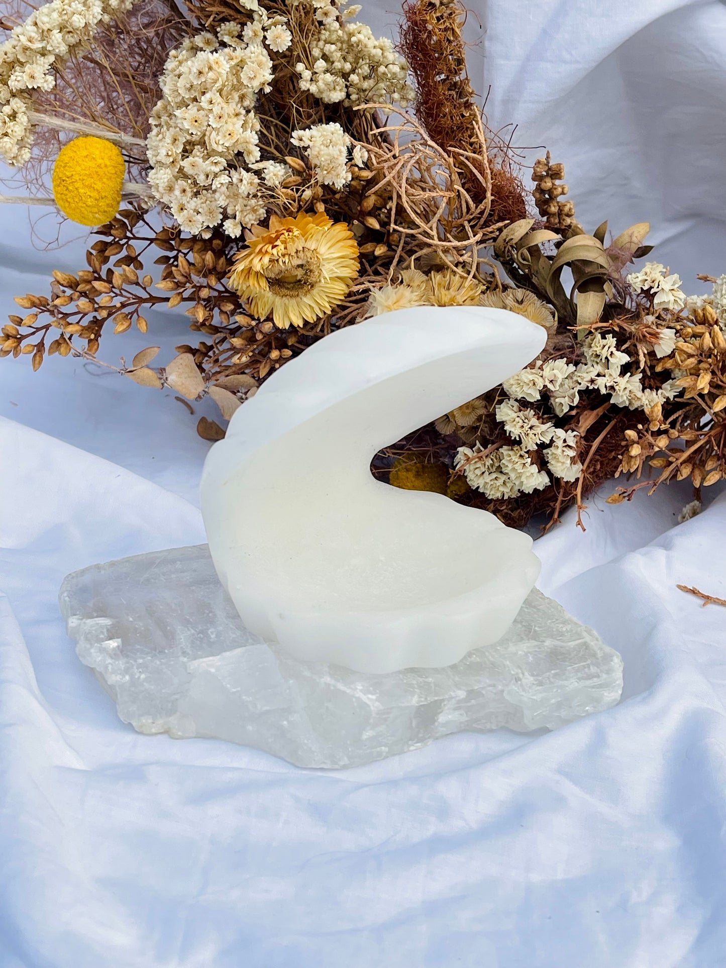 White Jade Clam Shell