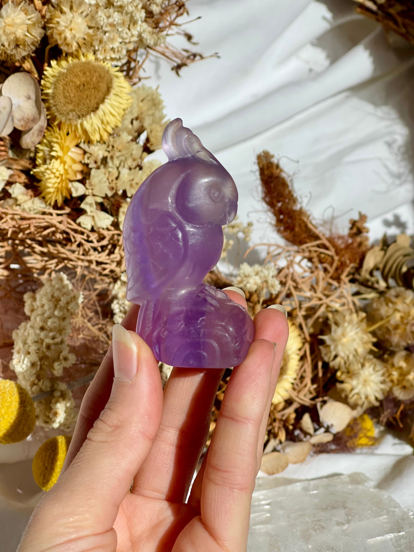 Purple Fluorite Parrott