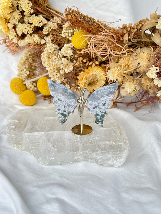 Ocean Jasper Butterfly #1