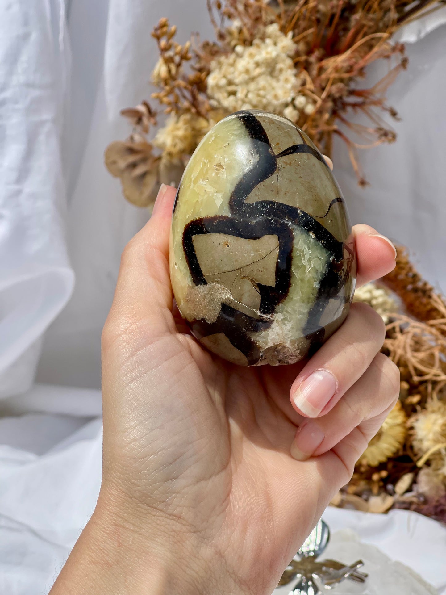 Septarian Dragon Stone Egg #3