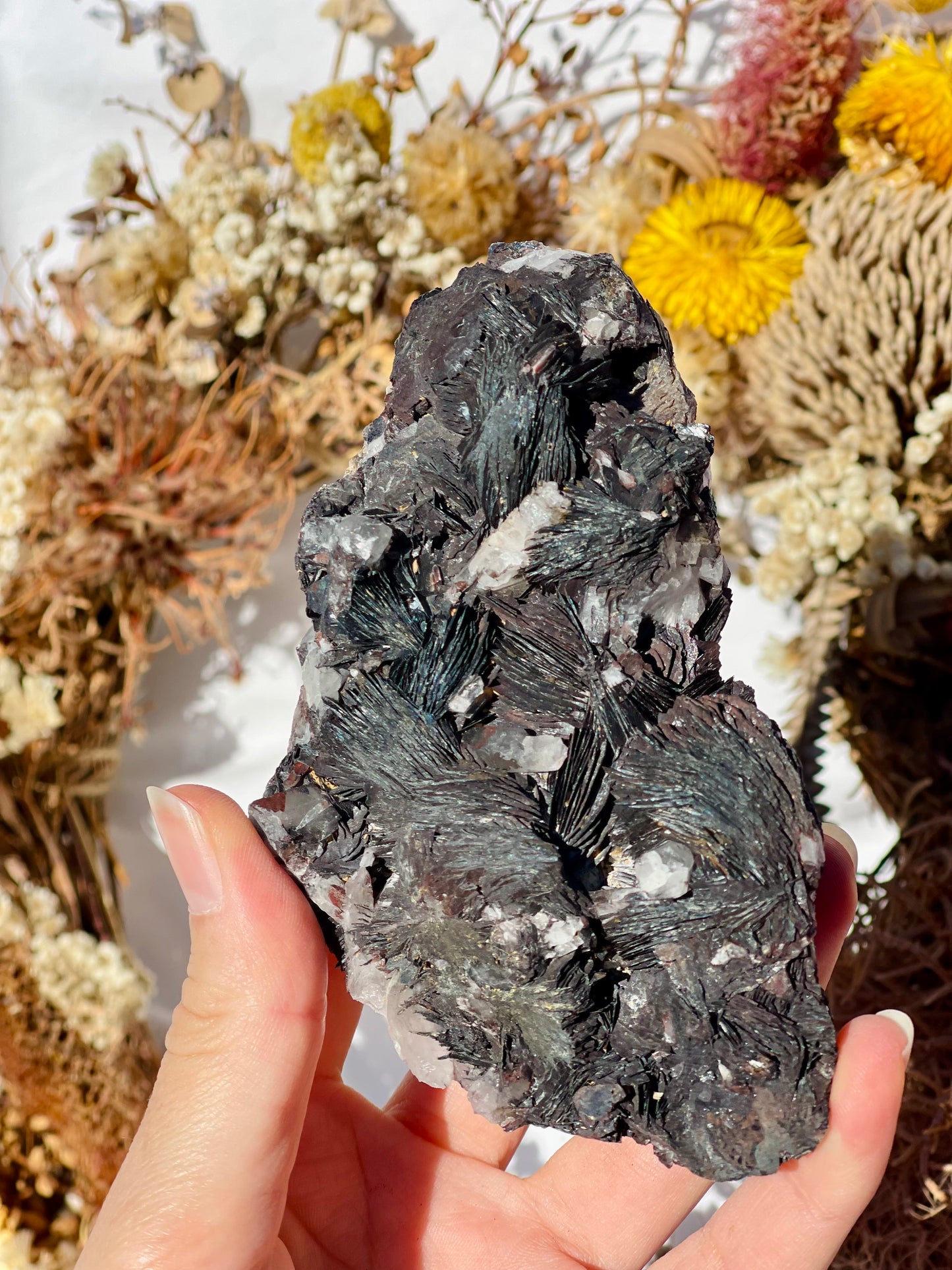 Black Rose Specularite With Quartz #2