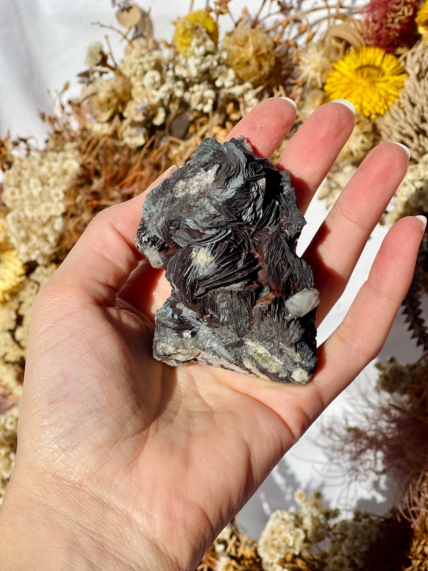 Black Rose Specularite With Quartz #1