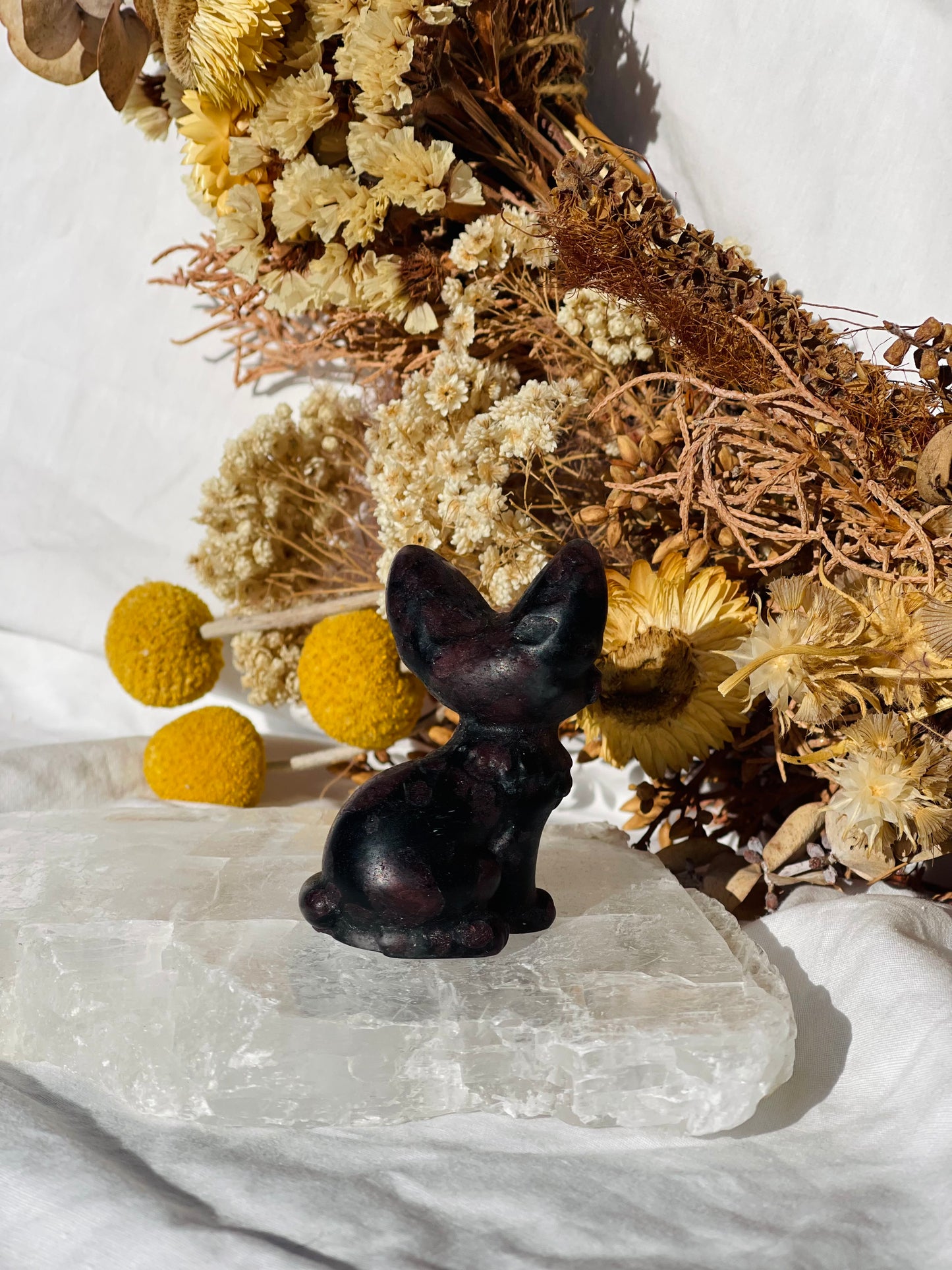Garnet Astrophyllite Cat