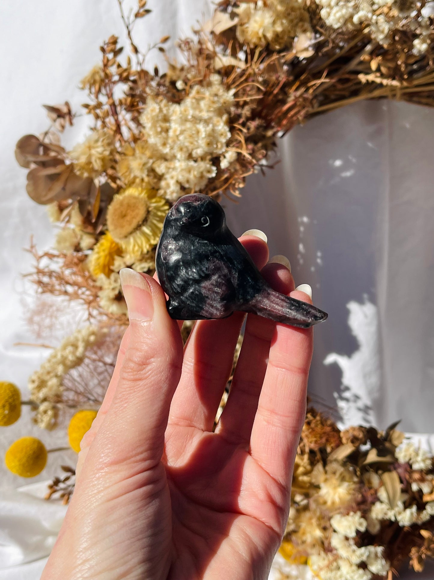 Garnet Astrophyllite Bird #2