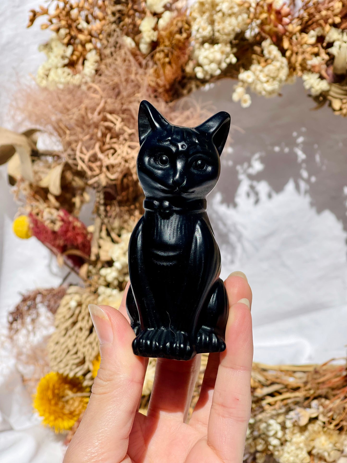 Black Obsidian Cat