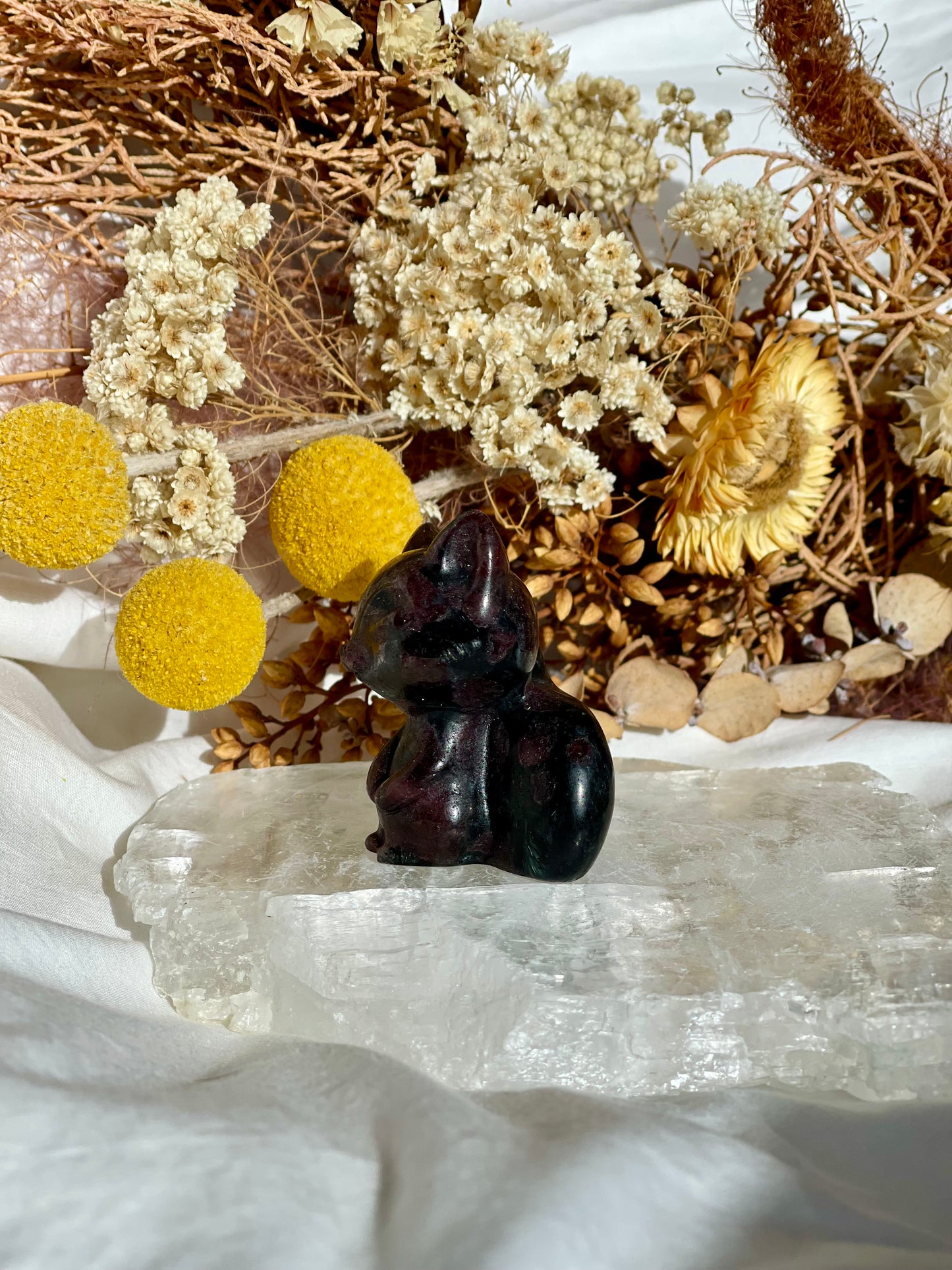Garnet / Astrophyllite Fox