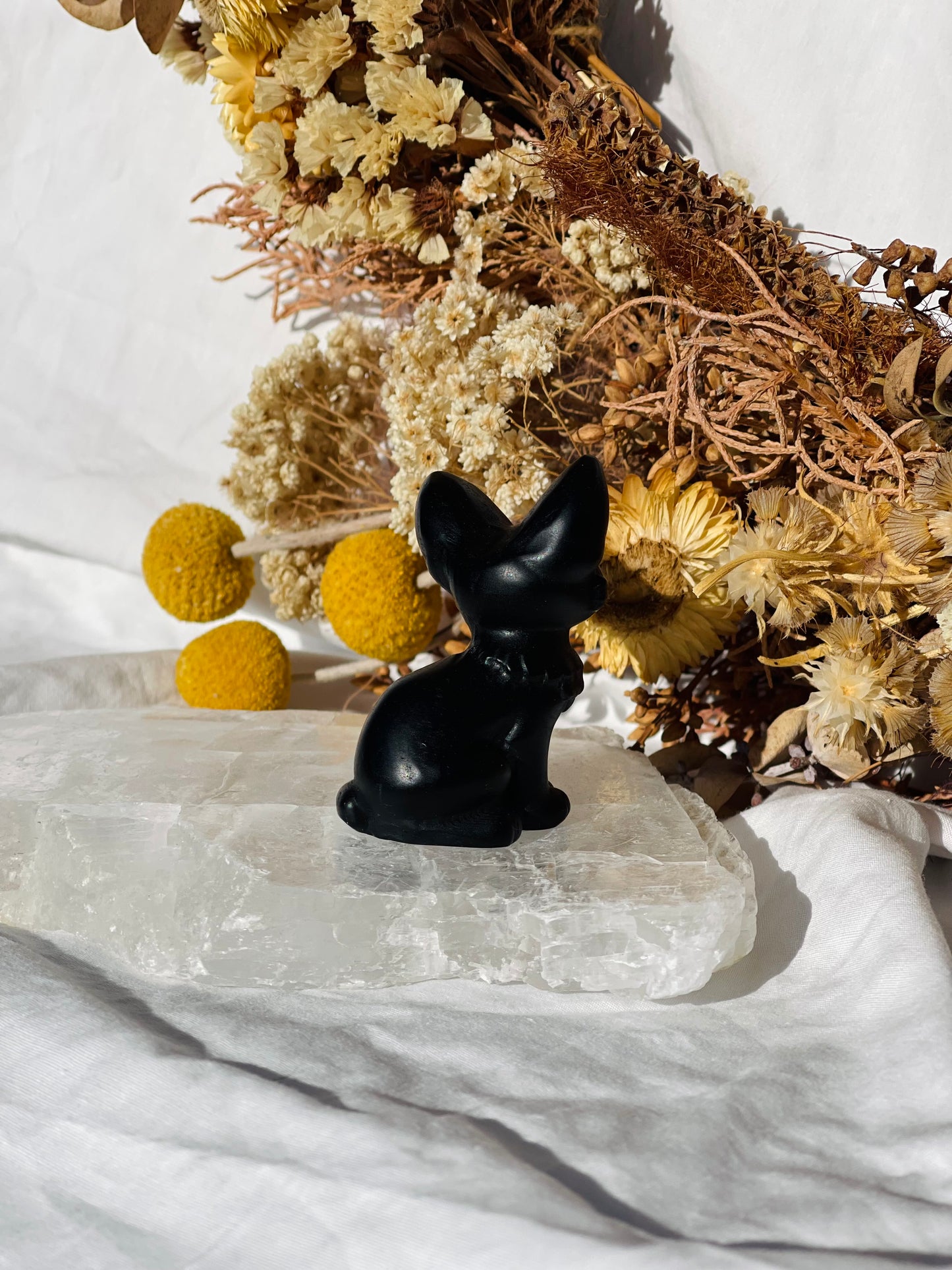 Black Obsidian Cat