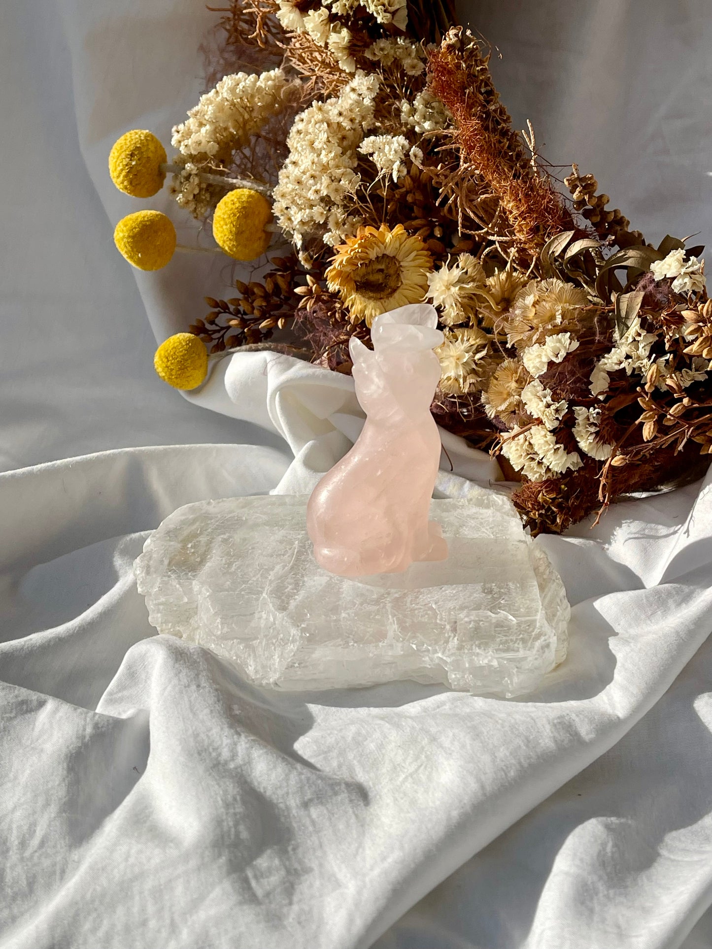 Rose Quartz Cat With Butterfly