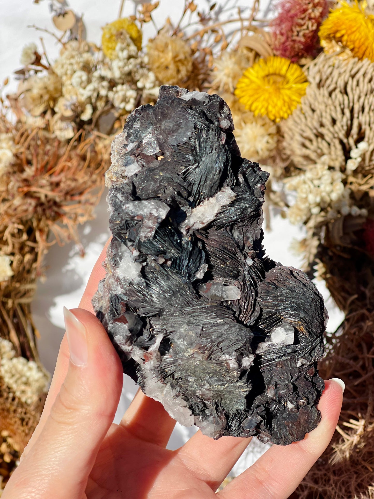 Black Rose Specularite With Quartz #2