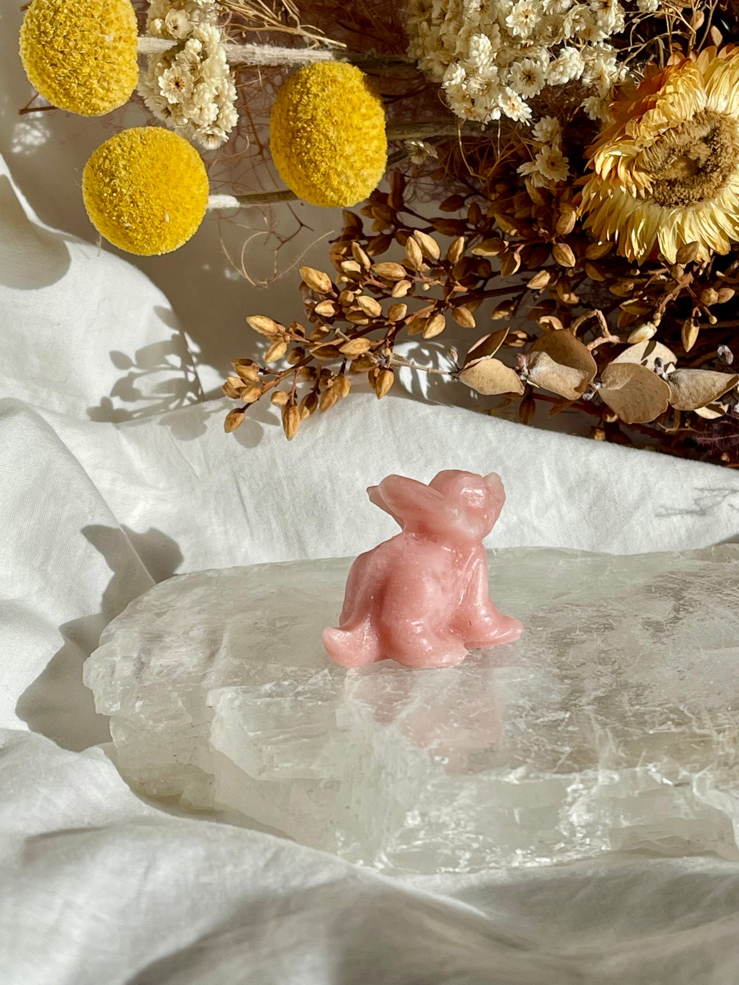 Pink Opal Baby Triceratops