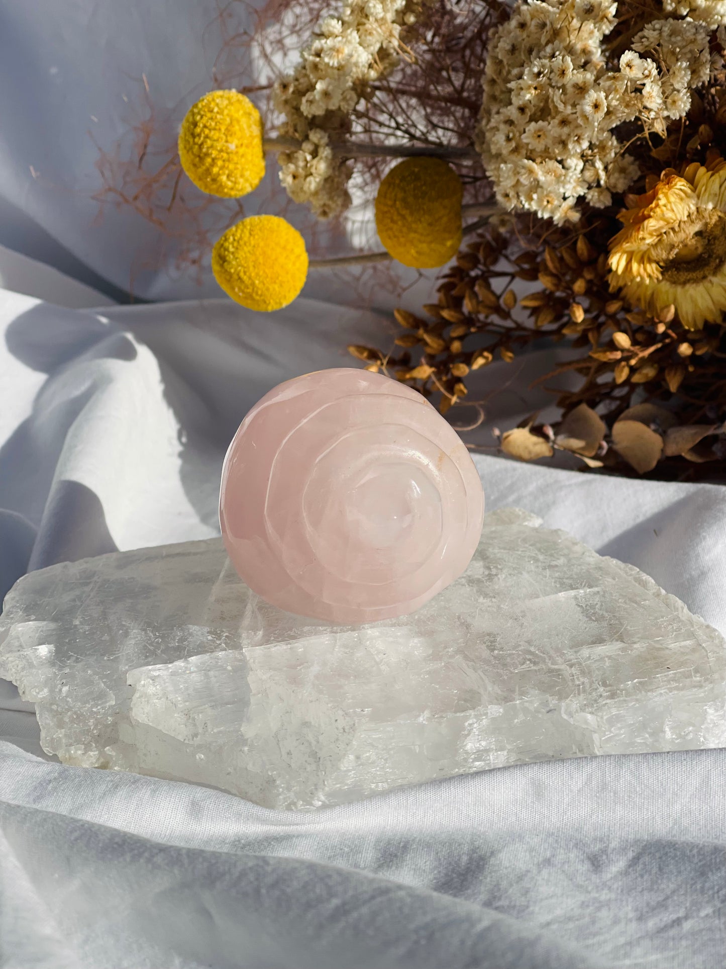 Rose Quartz Shell