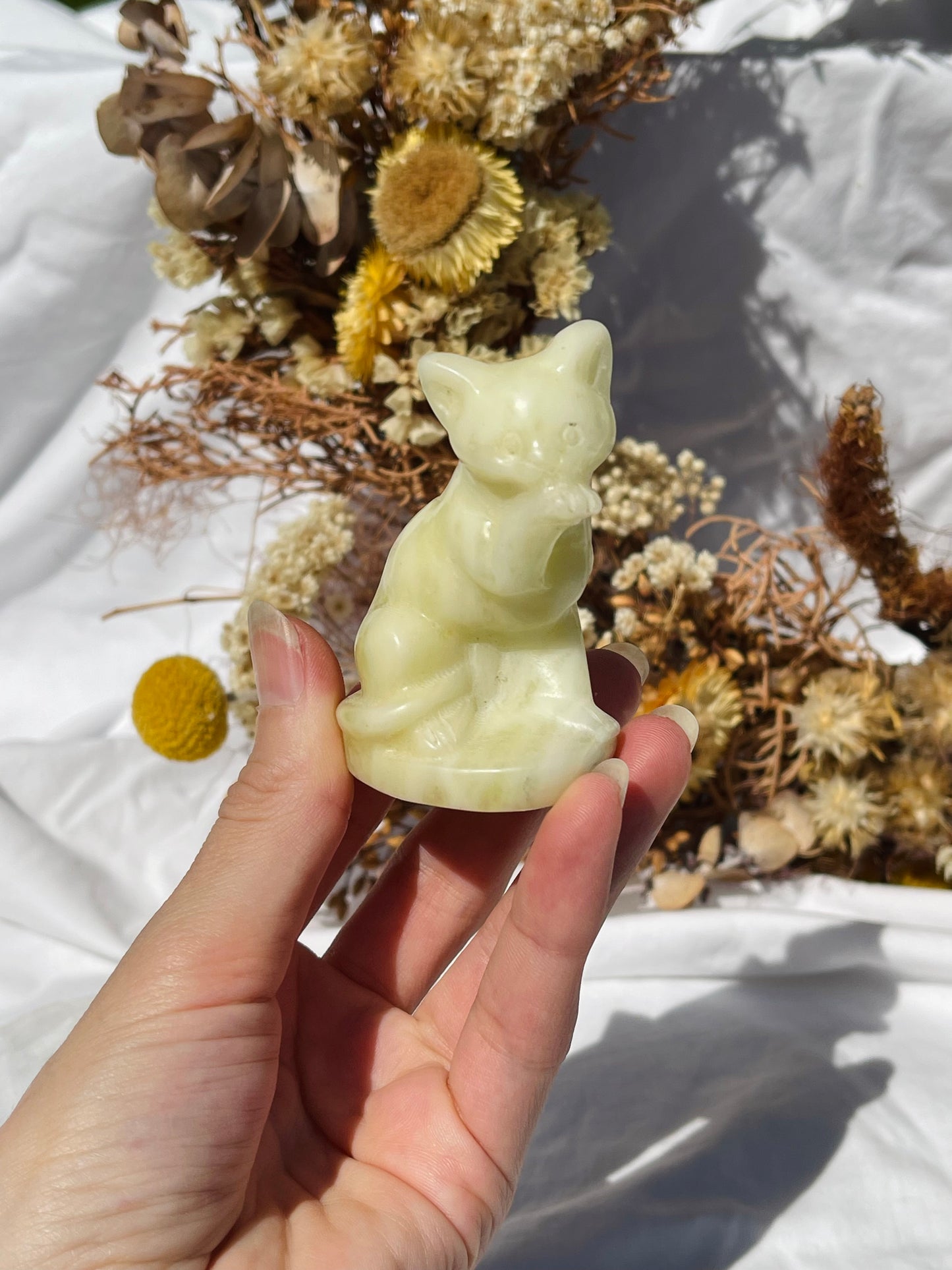Lemon Jade Cat