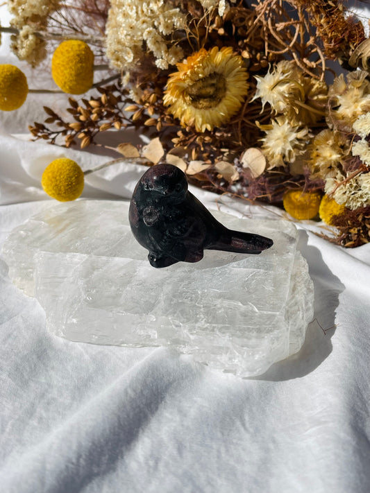 Garnet Astrophyllite Bird #2