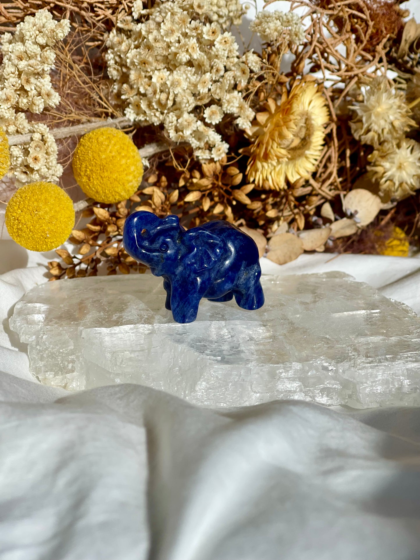 Sodalite Elephant #1