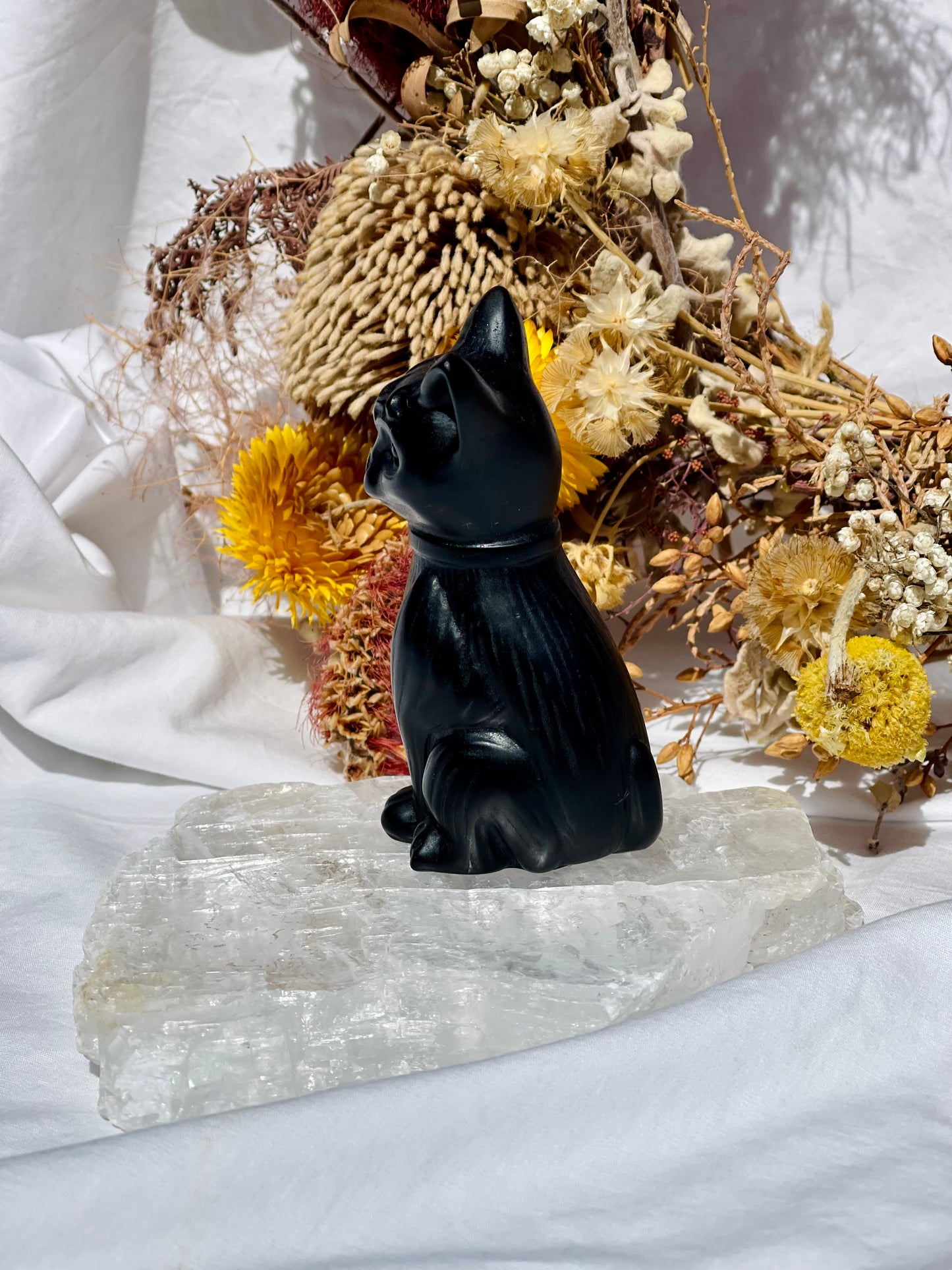 Black Obsidian Cat