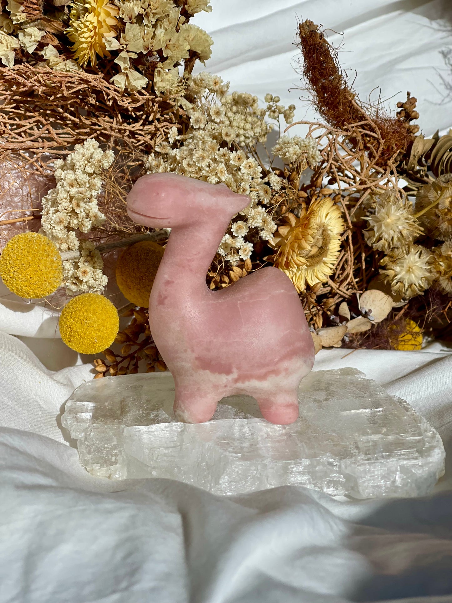 Pink Opal Camel