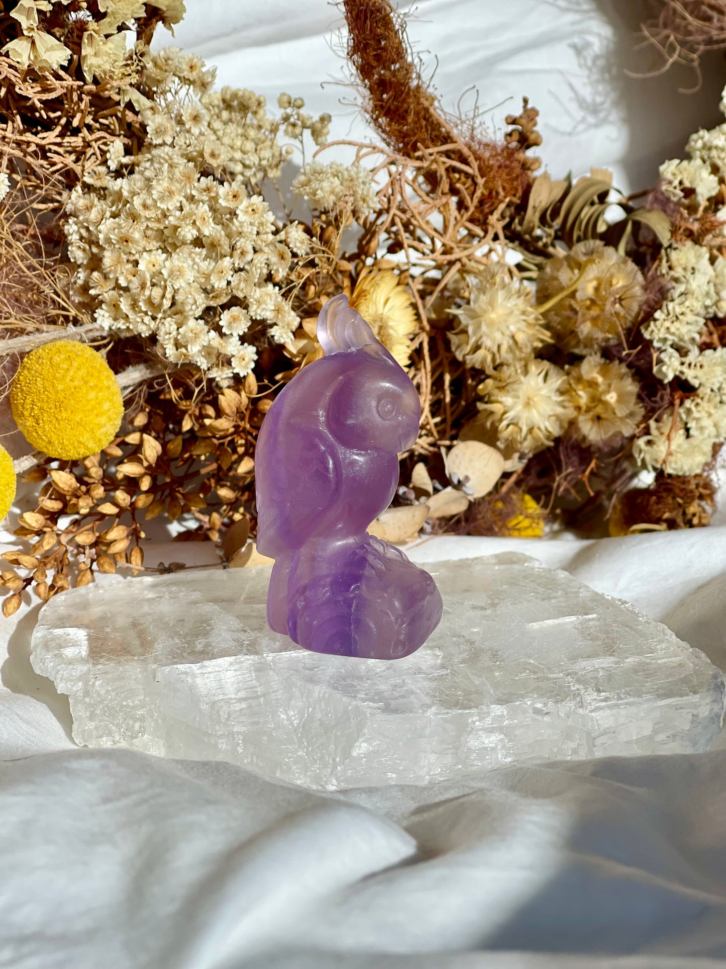 Purple Fluorite Parrott