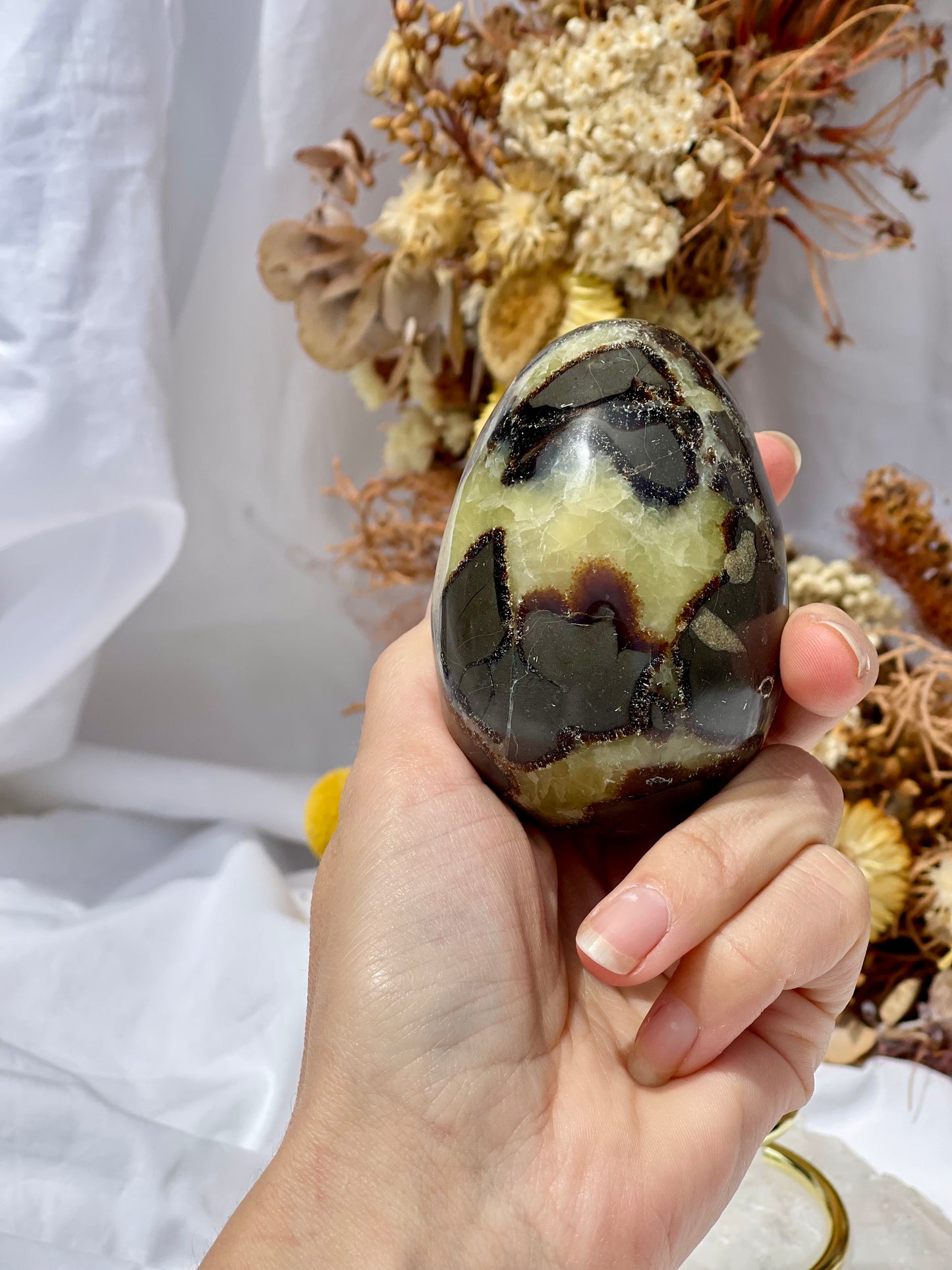 Septarian Dragon Stone Egg #1