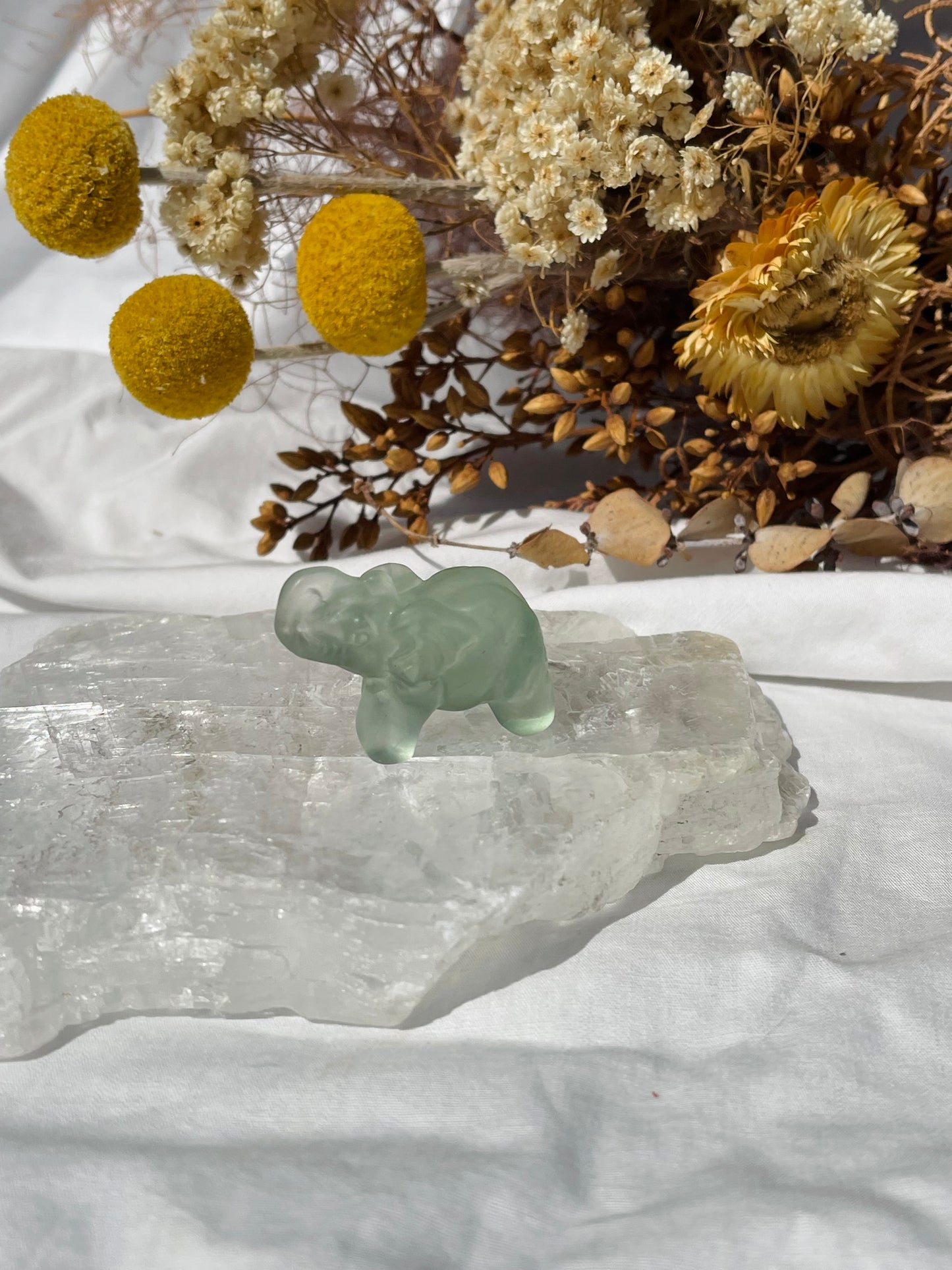 Fluorite Elephant #1