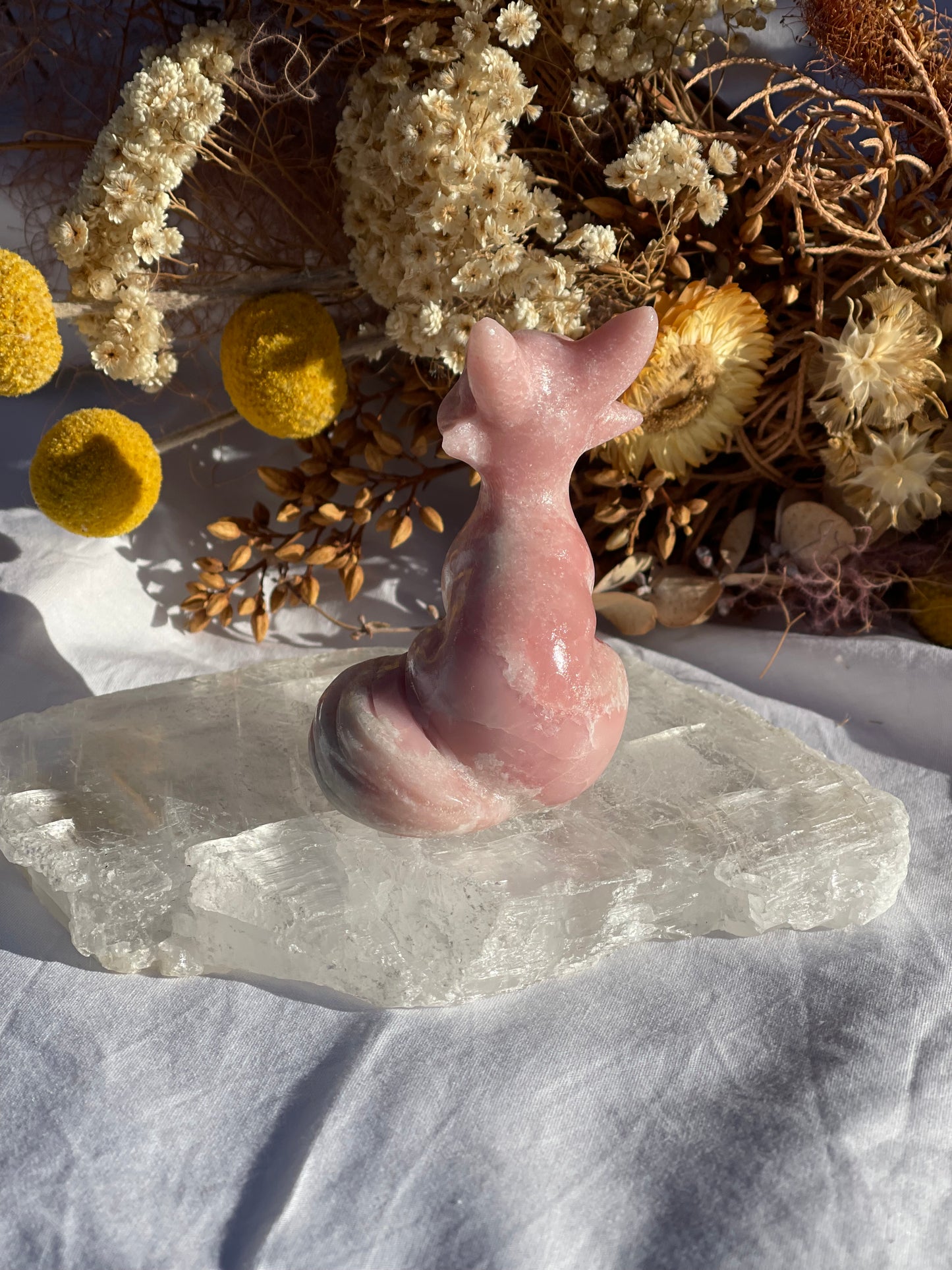 Pink Opal Fox
