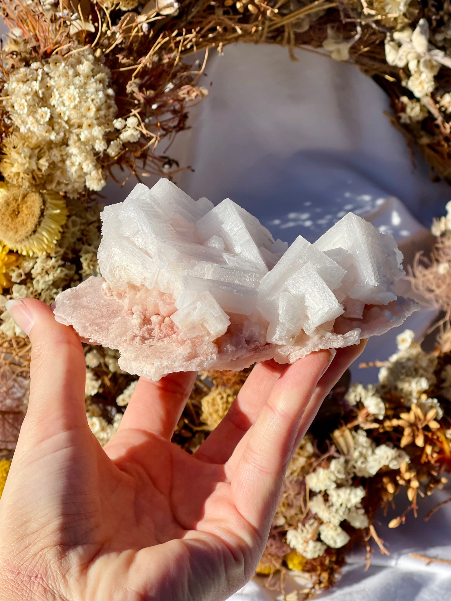 Pink Halite Cluster #4