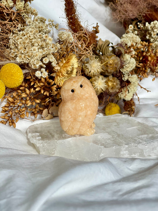 Sunstone Owl