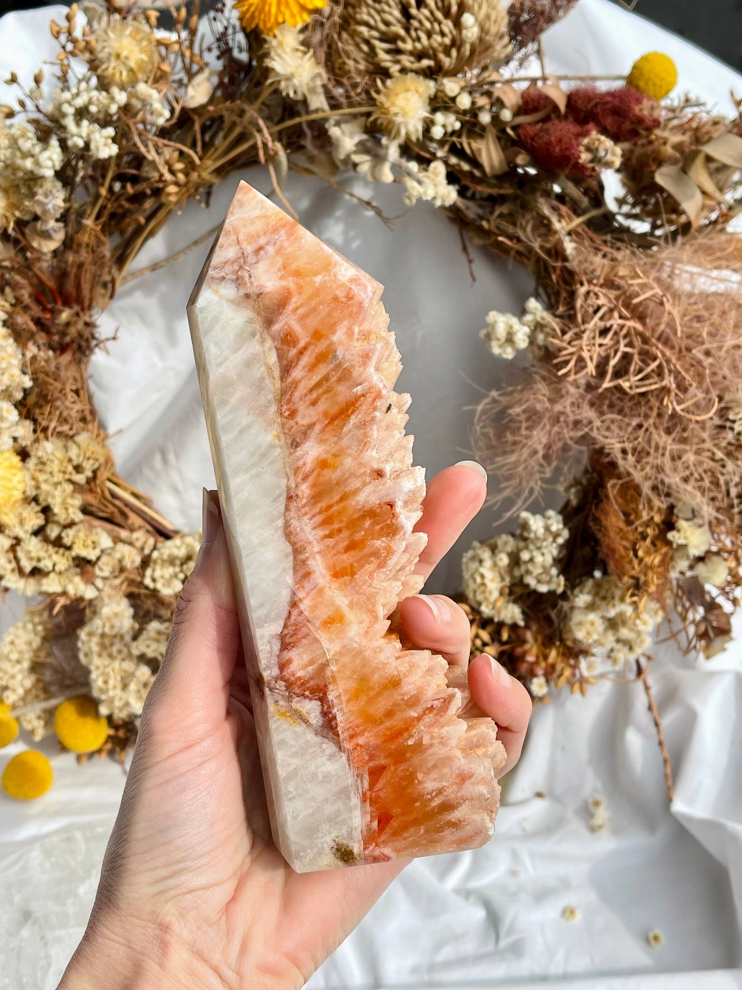 Orange Dogs Tooth Calcite Point