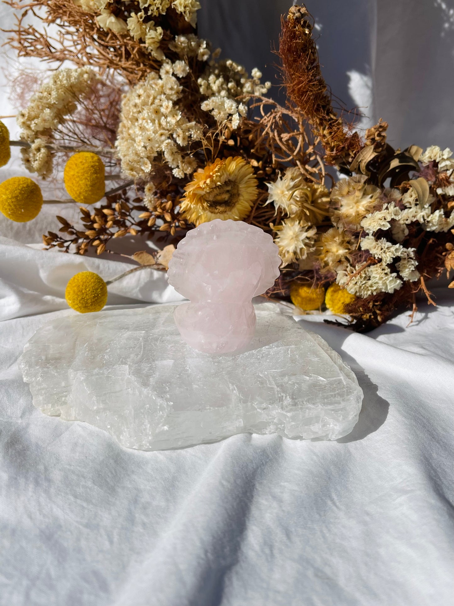 Rose Quartz Sun Lion