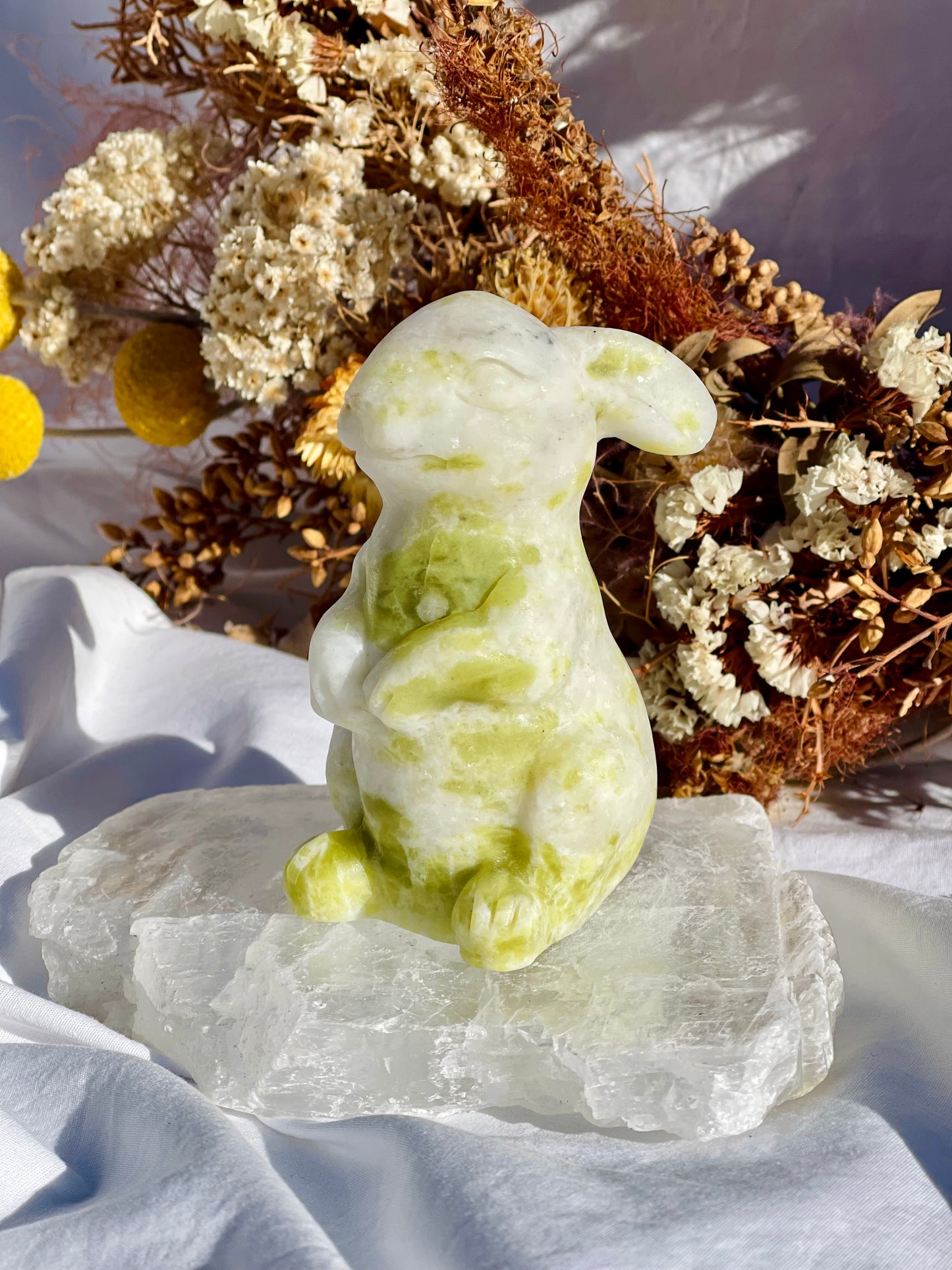 Lemon Jade Bunny