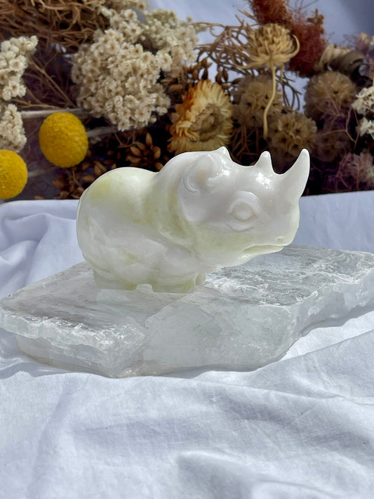 Lemon Jade Rhino
