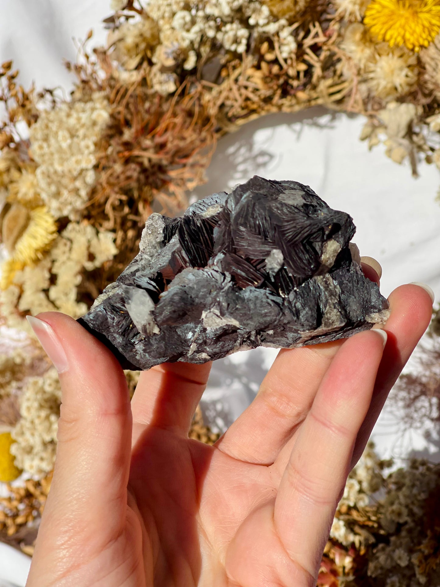 Black Rose Specularite With Quartz #1