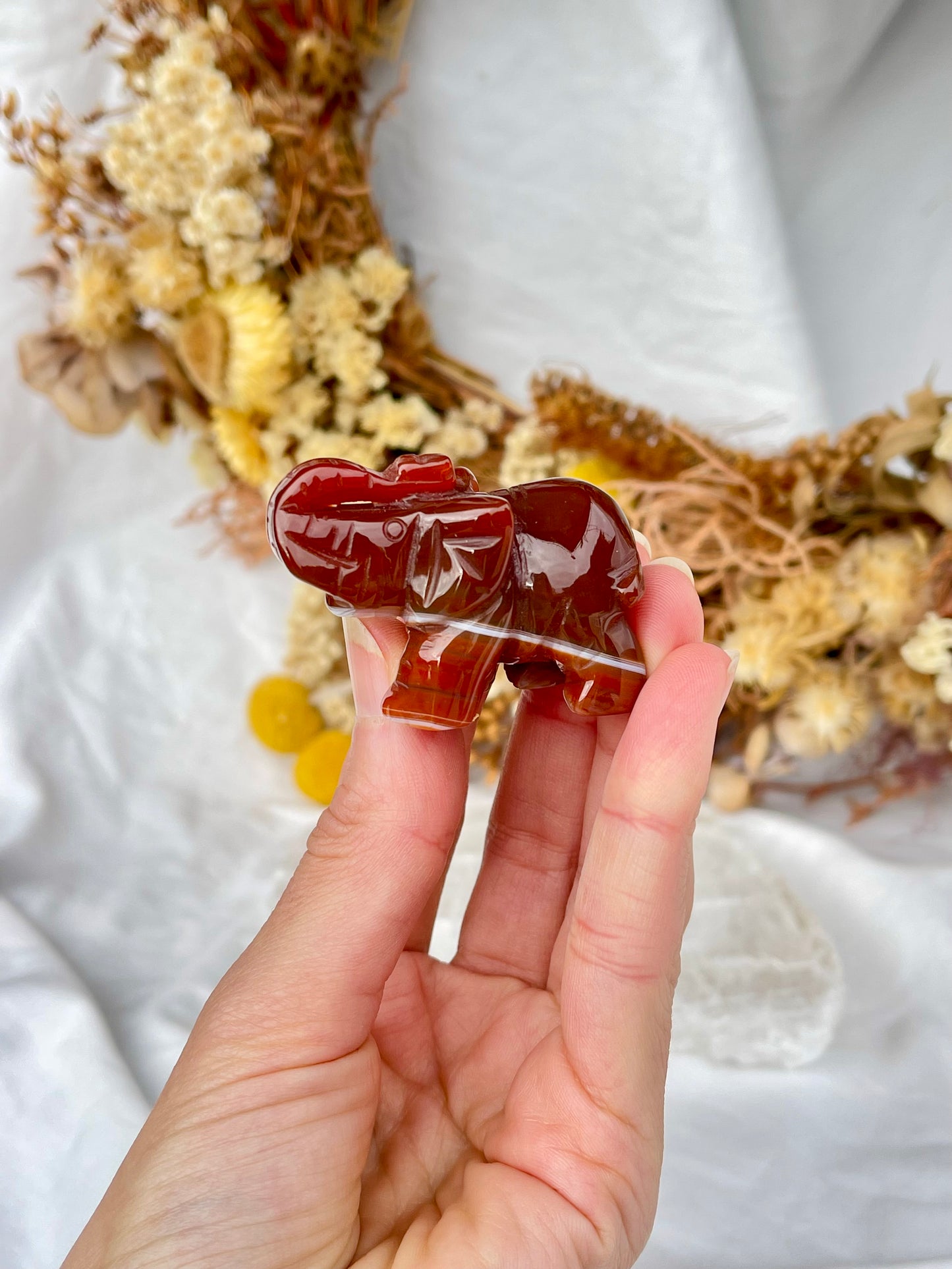 Carnelian Elephant #1