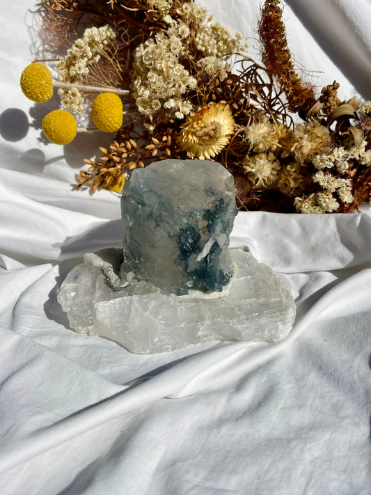 Blue Tara Quartz Specimen #3