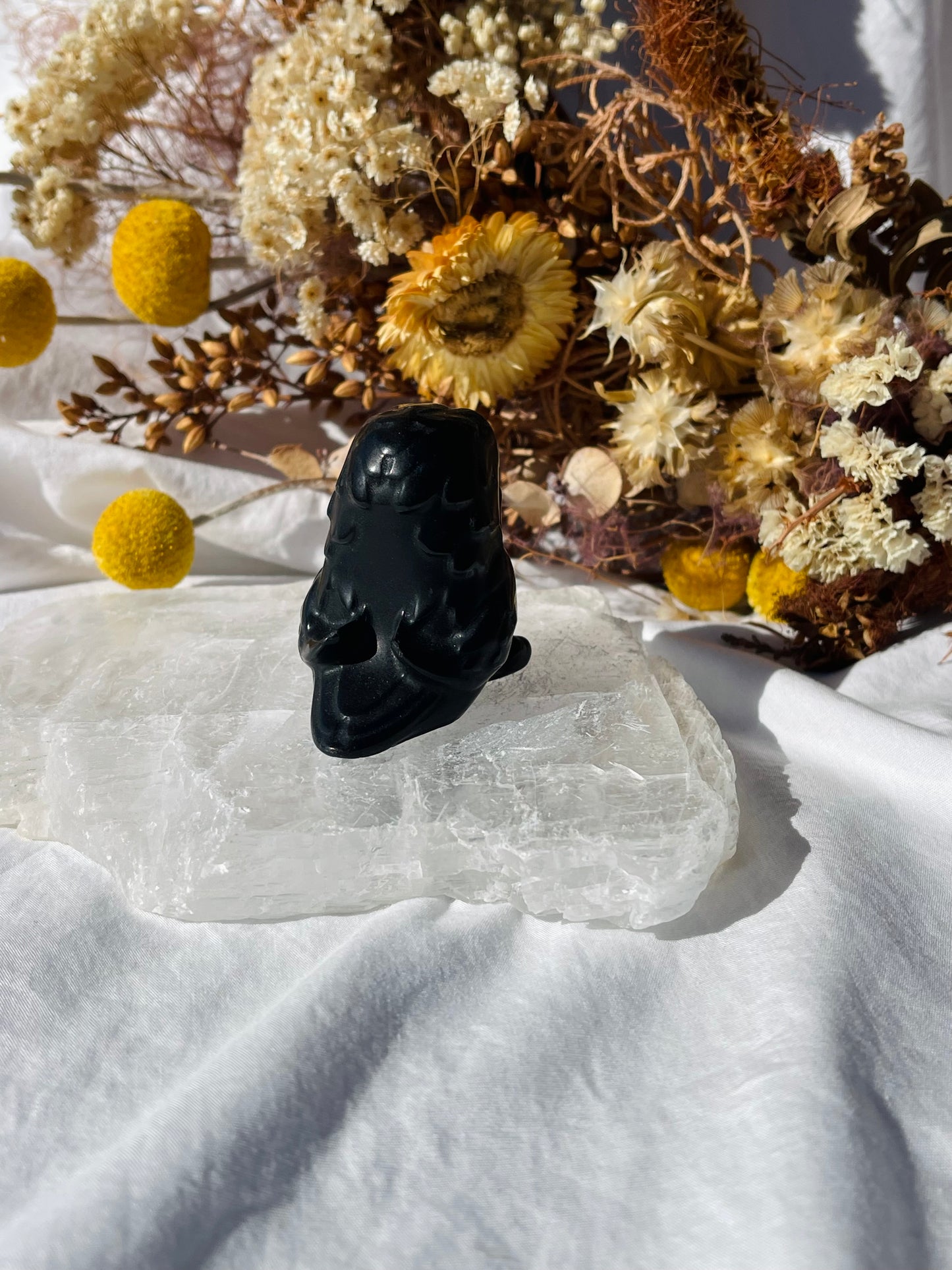 Black Obsidian Crow