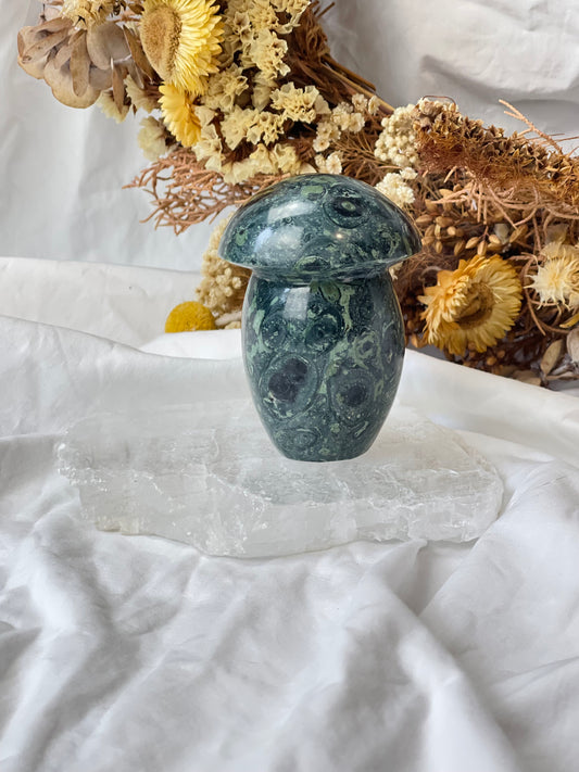Kambaba Jasper Mushroom